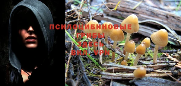 крисы Кукмор