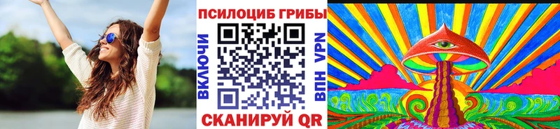 Галлюциногенные грибы Psilocybe  Раменское 